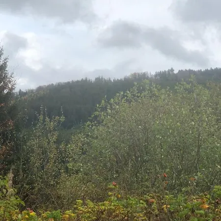 FeWo Berg Idyllika Willingen  Exterior foto
