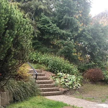 FeWo Berg Idyllika Willingen  Exterior foto