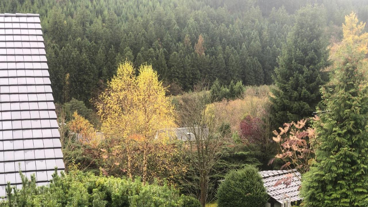 Apartment Berg Idyllika Willingen (Upland)
