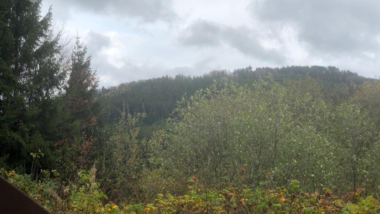 Berg Idyllika * Willingen (Upland)